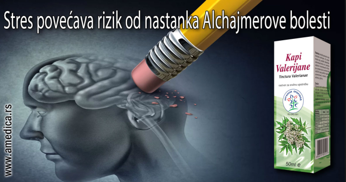 Stres povećava rizik od nastanka Alchajmerove bolesti