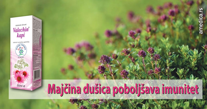 Majčina dušica poboljšava imunitet