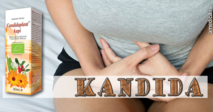 Kandida