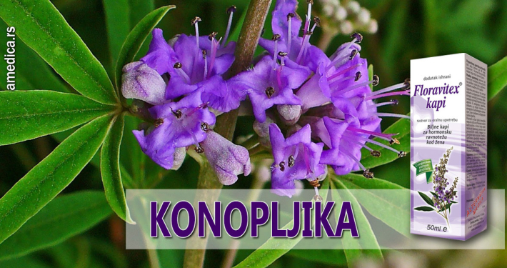 Konopljika