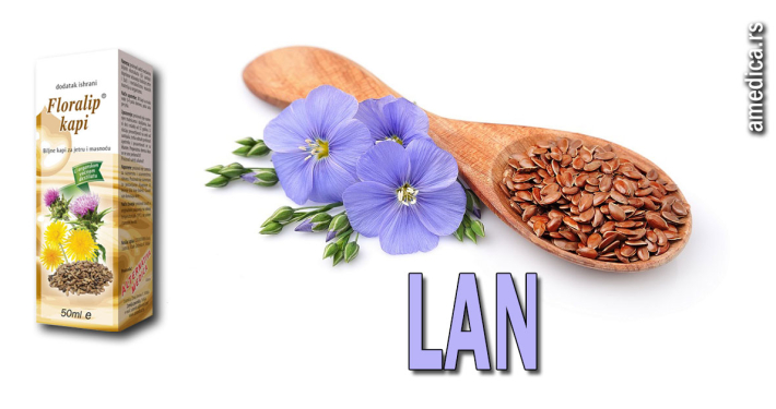 lan