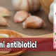 Prirodni antibiotici