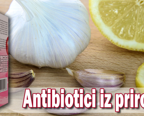 Antibiotici iz prirode