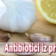 Antibiotici iz prirode