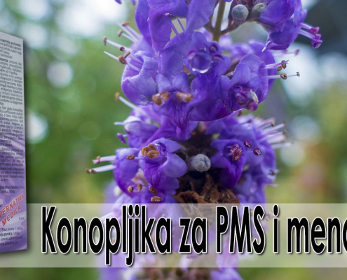 Konopljika za PMS i menopauzu